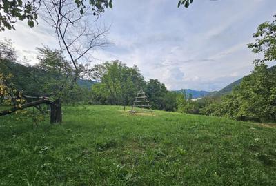 TEREN DE VANZARE SECIURI - 8