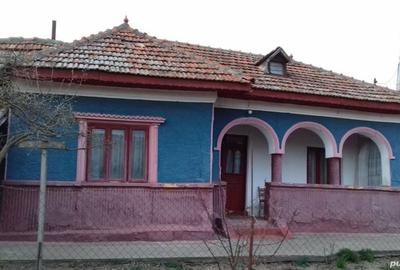 Teren de 1400 mp, în Surlari - 6