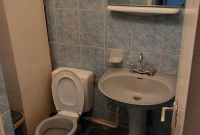 Apartament cu 3 camere decomandat în Central - 3