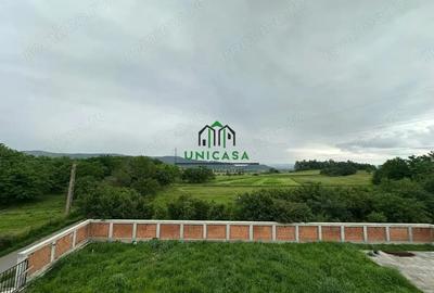 Casă cu Teren 2000 Mp în Români - 2