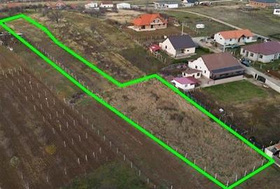 RECO . Teren intravilan Saldabagiu de munte . - 3