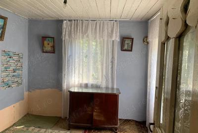 Casa batraneasca+ curte 500mp - 9