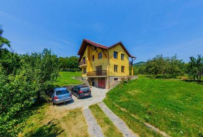 Vila de vanzare cu priveli?te superba Cicarlau - 11