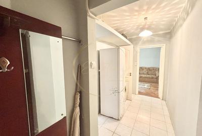 Apartament cu 2 camere nedecomandat, mobilat în Iosefin - 11