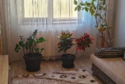 Apartament cu 2 camere decomandat, mobilat în Alfa - 5