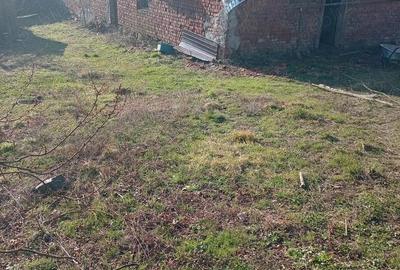 Casă cu 3 camere cu Teren 6627 Mp în Tincova - 7