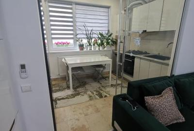 Apartament cu 2 camere, mobilat în Timișoara - 16