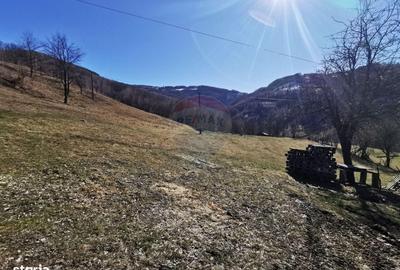 Spațiu comercial, în Munteni - 10