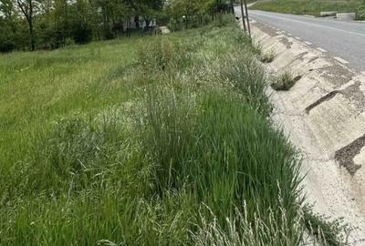 Teren agricol intravilan de 834 mp, în Central - 2