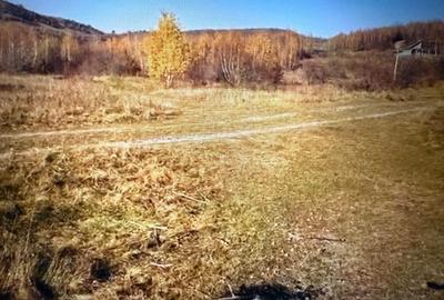 Vand teren generos (3,8 ha), in Salicea, pentru constructie case tip duplex - 1