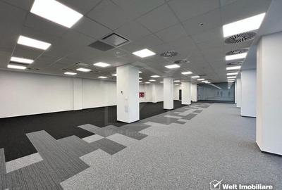 Birouri finisate 510mp open space, Office Building