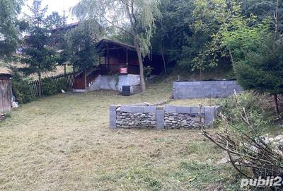 Cabana la Praid Cabana la Praid - 3