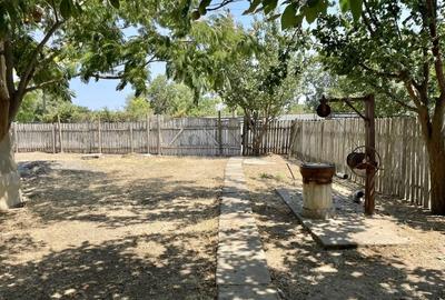 Casă cu 6 camere cu Teren 4614 Mp în Lăstuni - 1