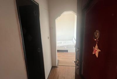 Garsonieră semidecomandată în Craiovița Nouă - 1