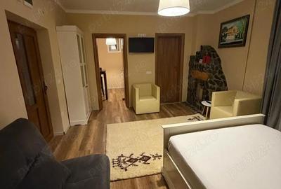 Garsonieră semidecomandată în Lupeni - 10