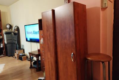 Apartament Studio - Brazda lui Novac - 6
