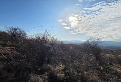 Teren intravilan de 590 mp, în Iris - 2