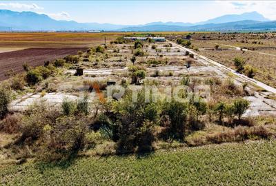 Teren Construcții intravilan de 13750 mp, în Sud-Est - 10