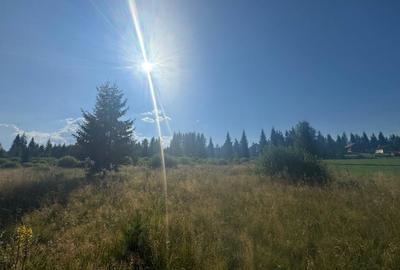 12700 mp investitie rezidentiala- turistica- medicala Tinovul Mic/Șaru Dornei - 13