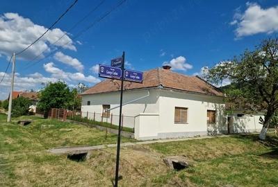 Casă cu Teren 2973 Mp în Șiria - 1