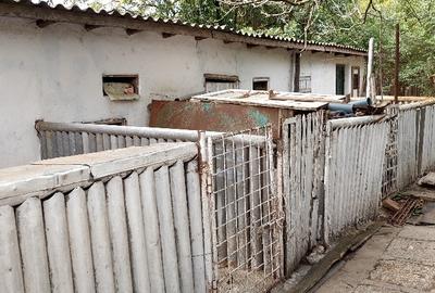 Dalga Sat, Com. Dor Marunt, jud. Calarasi Dalga Sat, Com. Dor Marunt, jud. Calarasi - 16