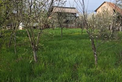 Teren Construcții intravilan de 2500 mp, în Dealu Bradului - 1