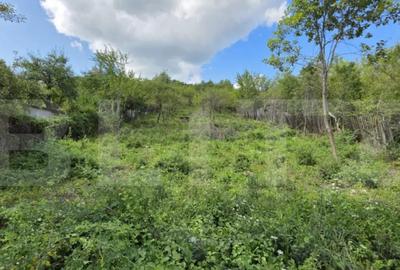 Teren de 2500 mp, în Viișoara - 1