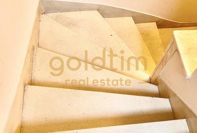 VILA SUPERBA RENOVATA COMPLET/4 APARTAMENTEx120M/480MP/KISELEFF-MUZEUL TARANULUI - 38