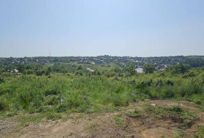 Teren intravilan , Bucium Barnova - 2