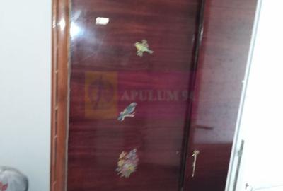 Movilita - vanzare casa 5 cam plus livada pe rod si teren 1800 mp - 17