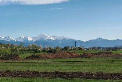 Teren de 6700 mp, în Sântămăria-Orlea - 2