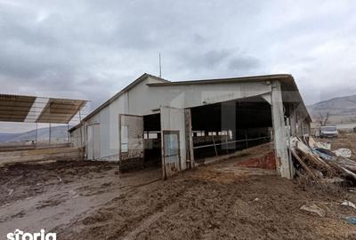 Spațiu comercial, de 6,600 mp, în Valea Lungă - 1