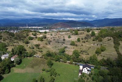 Teren de vânzare in Campulung-Muscel -  33598 mp - 1