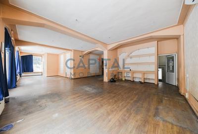 Spațiu comercial, de 230 mp, în Mărăști - 5