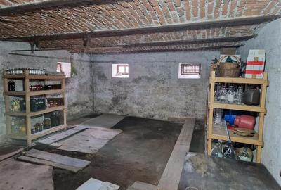 Poveste saseasca la umbra vitei de vie, cu crama si gradina cu flori, Central Co - 54