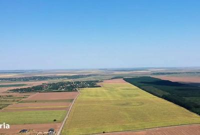 Teren de 7643 mp, în Frumușani - 3