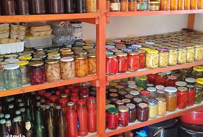 Casă cu 3 camere cu Teren 2826 Mp în Saca - 15