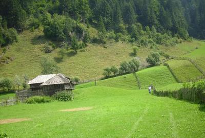Vand teren intravilan localitatii Rucar, sat Satic, punct Caminul Casei, jud. Arges - 1