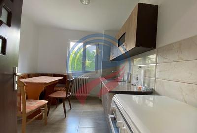 APARTAMENT CHIRIE 2 CAMERE ET 1 VALEA ROSIE - 4