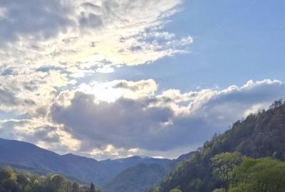 Teren de 1000 mp, în Malaia - 6