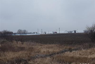 Teren de 7514 mp, în Potigrafu - 2