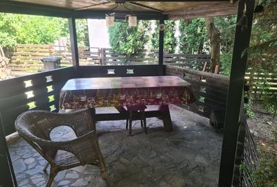 Vila de vanzare in Brebu - Zona Brebu Manastirei - 38