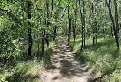 Teren Construcții extravilan de 5000 mp, în Costești - 1