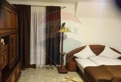 Casă individuală cu 6 camere cu Teren 1364 Mp în Ocna Șugatag - 7