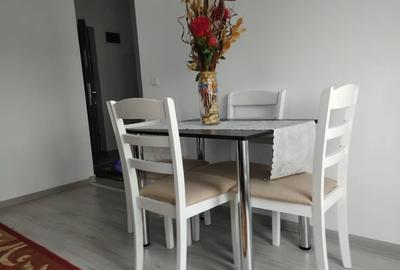 Apartament cu 2 camere decomandat, mobilat în Viilor - 5
