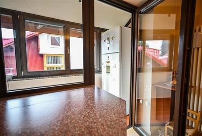 FILM! Rezidenta montana,decor apreciabil, pod mansardabil,garaj propriu,Central - 27