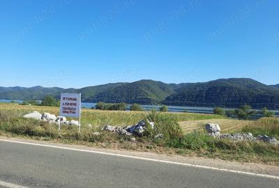 Teren de 2500 mp, în Berzasca - 5