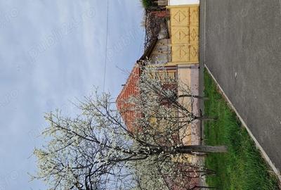 Vand casa Sannicolau Mic - 1