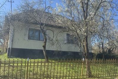 Casă cu 3 camere în Urmeniș - 15
