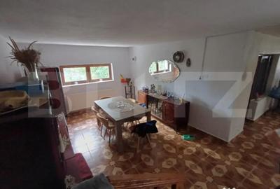 Casă cu 6 camere cu Teren 2420 Mp în Debarcader - 3